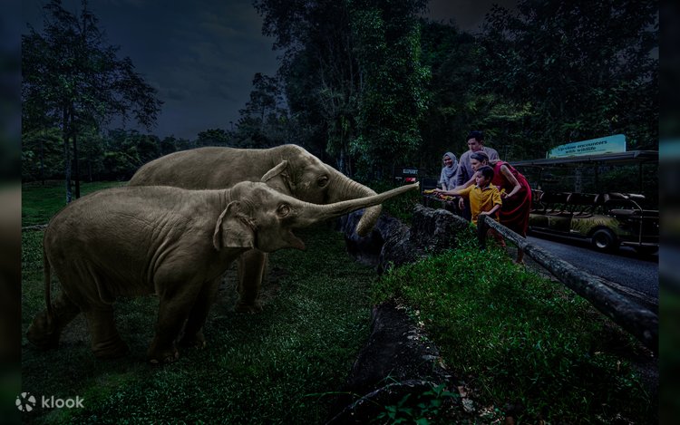 Magical Singapore Getaway With Night Safari